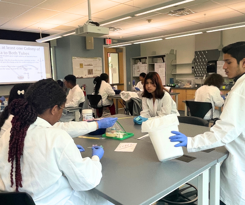 Students in Summer Academy Lab 